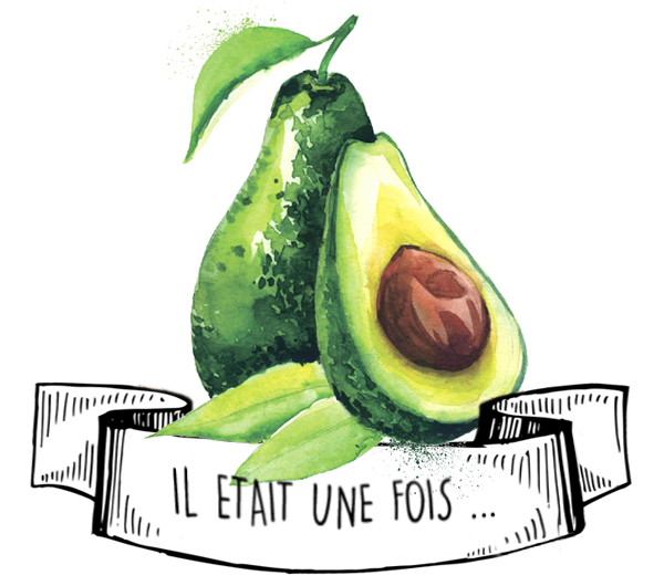 Huile d'avocat - Olyaris